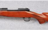 Winchester Model 70 Westerner Cabelas Exclusive 7mm Magnum - 5 of 7