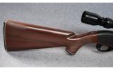 Remington Nylon 66 .22 Long Rifle - 5 of 8