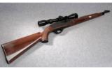 Remington Nylon 66 .22 Long Rifle - 1 of 8