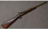 Springfield 1884 .45-70 Carbine - 1 of 8