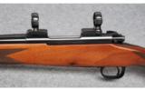 Winchester Model 70 XTR Sporter Varmint .223 Rem. - 4 of 9