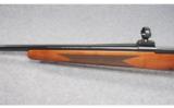 Winchester Model 70 XTR Sporter Varmint .223 Rem. - 6 of 9