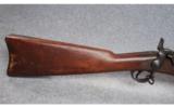Springfield Armory Model 1873 .45-70 - 5 of 9
