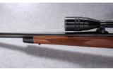 Remington Model 700 BDL Varmint .243 Win. - 6 of 9