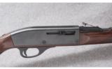 Remington Model Nylon 66 ~ .22 LR - 2 of 9