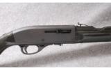Remington ~ Apache 77 Black Diamond
~
.22 LR - 2 of 9