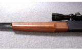 Winchester ~ Model 250 ~ .22 LR - 7 of 9