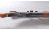 Winchester ~ Model 250 ~ .22 LR - 5 of 9