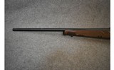 Winchester ~ Model 70 Featherweight ~ .243 Winchester - 7 of 11