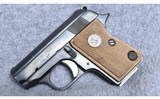 Colt ~ Junior Colt ~ .25 ACP - 2 of 5