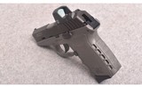 SCCY ~ CPX-2 ~ 9MM LUGER - 3 of 3