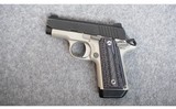 Kimber ~ Micro Carry ~ .380 ACP - 2 of 4