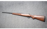 Winchester ~ Model 70 ~ .300 Winchester Magnum - 2 of 9