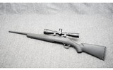 Ruger ~ American ~ .243 Winchester - 10 of 10