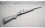 Ruger ~ American ~ .17 HMR - 1 of 10