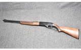 Winchester ~ 250 ~ .22 S, L, LR - 10 of 10