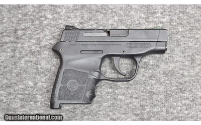 Smith & Wesson ~ Body Guard ~ .380 ACP