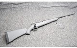 Weatherby ~ Mark V ~ 6.5 WBY RPM - 1 of 10
