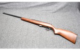 Remington ~ 581 ~ .22 S, L, LR - 10 of 10