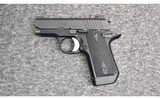 Kimber ~ Micro Carry ~ .380 ACP - 2 of 3