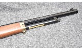 Henry ~ H010B ~ .45-70 Government - 5 of 10