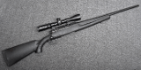 Savage Arms Inc ~ Axis ~ .22-550 Remington