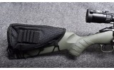 Ruger ~ American ~ .243 Win - 2 of 10