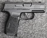 Sig Sauer ~ P365 ~ 9mm Luger - 1 of 2