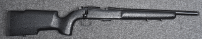 CZ ~455~ .22 Long Rifle