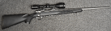 Remington ~ 700 ~ .300 Remington