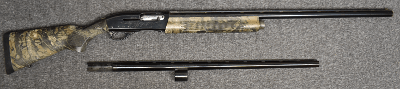 Remington ~ 1100 ~ 12 Gauge