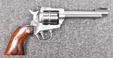 Ruger ~Single-Ten~ .22 cal
