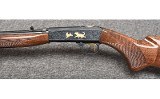 Browning ~ SA22 ~ 22 Long Rifle - 7 of 13