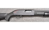 Winchester ~ SXP ~ 12 Gauge - 3 of 10