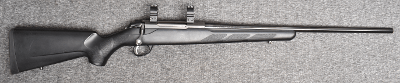 Tikka ~ T3 ~ 243 Winchester
