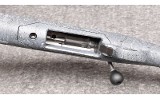 Ruger ~American~ .204 Ruger - 8 of 10