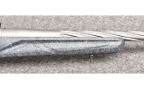 Ruger ~American~ .204 Ruger - 4 of 10