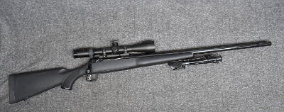 Savage ~12~ .223 Remington