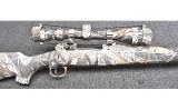 Savage Arms ~ 10 ~ .22-250 Remington - 3 of 10