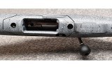 Ruger ~American~ .22 ARC - 8 of 10