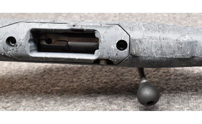 Ruger ~American~ .400 Legend - Image 8 of 10