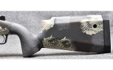 Springfield ~2020~ 6.5 PRC - 9 of 10