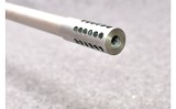 Remington ~ 700 ~ 300 Remington - 5 of 10