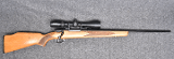 Interarms ~Mark X~ .22-250 Remington - 1 of 10