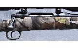 Savage ~Axis~ .243 Winchester - 3 of 10