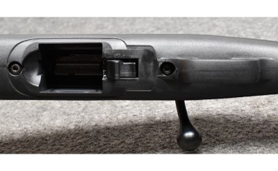 Ruger ~American~ .22 Long Rifle - Image 8 of 10