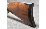 Browning ~1886~ .45-70 Government - 10 of 12