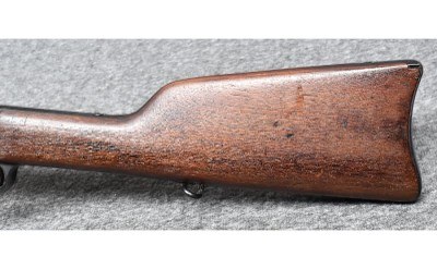 Remington ~ 1879 ~ 43 Spanish - Image 9 of 10