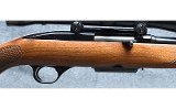 Winchester ~100~ .243 Winchester - 3 of 10