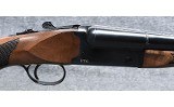 Pointer ~FT6~ 12 Gauge - Image 3 of 10